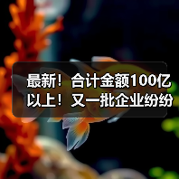 最新!合计金额100亿以上!又一批企业纷纷中标大项目(图4) 最新!合计金额100亿以上!又一批企业纷纷中标大项目(图4)