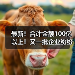 最新!合计金额100亿以上!又一批企业纷纷中标大项目(图1) 最新!合计金额100亿以上!又一批企业纷纷中标大项目(图1)