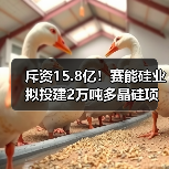 斥资15.8亿!赛能硅业拟投建2万吨多晶硅项目(图3) 斥资15.8亿!赛能硅业拟投建2万吨多晶硅项目(图3)