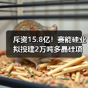 斥资15.8亿!赛能硅业拟投建2万吨多晶硅项目(图1) 斥资15.8亿!赛能硅业拟投建2万吨多晶硅项目(图1)