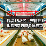 斥资15.8亿!赛能硅业拟投建2万吨多晶硅项目(图2) 斥资15.8亿!赛能硅业拟投建2万吨多晶硅项目(图2)