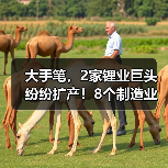 大手笔,2家锂业巨头纷纷扩产!8个制造业项目投建(图1) 大手笔,2家锂业巨头纷纷扩产!8个制造业项目投建(图1)