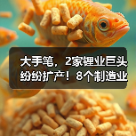 大手笔,2家锂业巨头纷纷扩产!8个制造业项目投建(图2) 大手笔,2家锂业巨头纷纷扩产!8个制造业项目投建(图2)