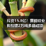 斥资15.8亿!赛能硅业拟投建2万吨多晶硅项目(图4) 斥资15.8亿!赛能硅业拟投建2万吨多晶硅项目(图4)