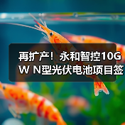 再扩产!永和智控10GW N型光伏电池项目签约(图4) 再扩产!永和智控10GW N型光伏电池项目签约(图4)