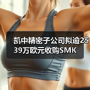 凯中精密子公司拟逾2539万欧元收购SMK(图2) 凯中精密子公司拟逾2539万欧元收购SMK(图2)