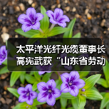 太平洋光纤光缆董事长高宪武获“山东省劳动模范”荣誉称号(图3) 太平洋光纤光缆董事长高宪武获“山东省劳动模范”荣誉称号(图3)