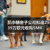 凯中精密子公司拟逾2539万欧元收购SMK(图4) 凯中精密子公司拟逾2539万欧元收购SMK(图4)
