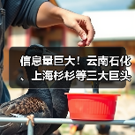 信息量巨大!云南石化、上海杉杉等三大巨头签约合作!(图1) 信息量巨大!云南石化、上海杉杉等三大巨头签约合作!(图1)