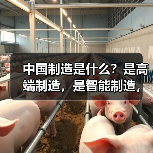 中国制造是什么？是高端制造，是智能制造，更是...（图4）