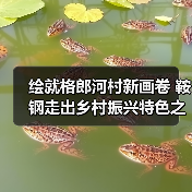 绘就格郎河村新画卷 鞍钢走出乡村振兴特色之路(图3) 绘就格郎河村新画卷 鞍钢走出乡村振兴特色之路(图3)
