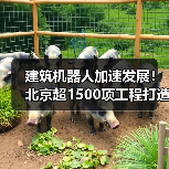 建筑机器人加速发展!北京超1500项工程打造智慧工地(图1) 建筑机器人加速发展!北京超1500项工程打造智慧工地(图1)