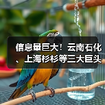信息量巨大!云南石化、上海杉杉等三大巨头签约合作!(图3) 信息量巨大!云南石化、上海杉杉等三大巨头签约合作!(图3)