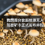 我国首台套新能源无人驾驶矿卡正式发布并投入使用(图2) 我国首台套新能源无人驾驶矿卡正式发布并投入使用(图2)