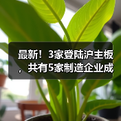 最新！3家登陆沪主板，共有5家制造企业成功上市（图4）