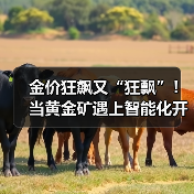 金价狂飙又“狂飘”!当黄金矿遇上智能化开采....(图4) 金价狂飙又“狂飘”!当黄金矿遇上智能化开采....(图4)