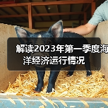 解读2023年第一季度海洋经济运行情况(图3) 解读2023年第一季度海洋经济运行情况(图3)