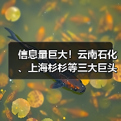 信息量巨大!云南石化、上海杉杉等三大巨头签约合作!(图2) 信息量巨大!云南石化、上海杉杉等三大巨头签约合作!(图2)