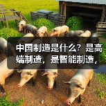 中国制造是什么？是高端制造，是智能制造，更是...（图3）