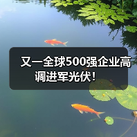 又一全球500强企业高调进军光伏!(图4) 又一全球500强企业高调进军光伏!(图4)