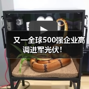 又一全球500强企业高调进军光伏!(图1) 又一全球500强企业高调进军光伏!(图1)