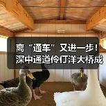离“通车”又进一步！深中通道伶仃洋大桥成功合龙（图3）