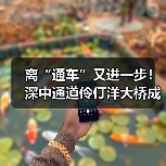 离“通车”又进一步！深中通道伶仃洋大桥成功合龙（图2）
