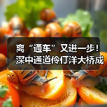 离“通车”又进一步！深中通道伶仃洋大桥成功合龙（图1）