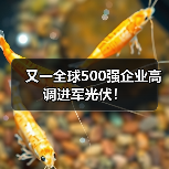又一全球500强企业高调进军光伏!(图2) 又一全球500强企业高调进军光伏!(图2)