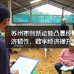 苏州市创新动能凸显经济韧性,数字经济提升市场活力(图1) 苏州市创新动能凸显经济韧性,数字经济提升市场活力(图1)
