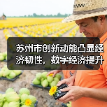 苏州市创新动能凸显经济韧性,数字经济提升市场活力(图2) 苏州市创新动能凸显经济韧性,数字经济提升市场活力(图2)