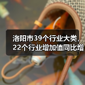 洛阳市39个行业大类,22个行业增加值同比增长(图3) 洛阳市39个行业大类,22个行业增加值同比增长(图3)