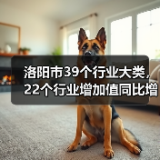洛阳市39个行业大类,22个行业增加值同比增长(图2) 洛阳市39个行业大类,22个行业增加值同比增长(图2)