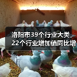 洛阳市39个行业大类,22个行业增加值同比增长(图4) 洛阳市39个行业大类,22个行业增加值同比增长(图4)