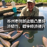 苏州市创新动能凸显经济韧性,数字经济提升市场活力(图3) 苏州市创新动能凸显经济韧性,数字经济提升市场活力(图3)