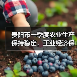 贵阳市一季度农业生产保持稳定,工业经济保持增长(图4) 贵阳市一季度农业生产保持稳定,工业经济保持增长(图4)