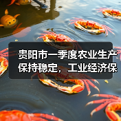 贵阳市一季度农业生产保持稳定,工业经济保持增长(图2) 贵阳市一季度农业生产保持稳定,工业经济保持增长(图2)