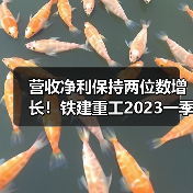 营收净利保持两位数增长！铁建重工2023一季度报告（图4）