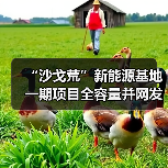 “沙戈荒”新能源基地一期项目全容量并网发电!(图3) “沙戈荒”新能源基地一期项目全容量并网发电!(图3)
