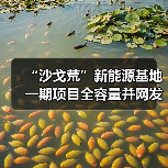 “沙戈荒”新能源基地一期项目全容量并网发电!(图1) “沙戈荒”新能源基地一期项目全容量并网发电!(图1)