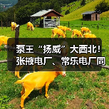 泵王“扬威”大西北!张掖电厂、常乐电厂同时开工!(图4) 泵王“扬威”大西北!张掖电厂、常乐电厂同时开工!(图4)