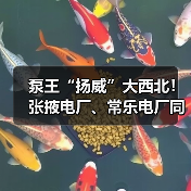 泵王“扬威”大西北!张掖电厂、常乐电厂同时开工!(图1) 泵王“扬威”大西北!张掖电厂、常乐电厂同时开工!(图1)