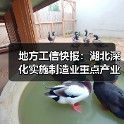 地方工信快报:湖北深化实施制造业重点产业链链长制(图2) 地方工信快报:湖北深化实施制造业重点产业链链长制(图2)