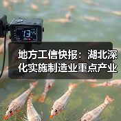 地方工信快报:湖北深化实施制造业重点产业链链长制(图4) 地方工信快报:湖北深化实施制造业重点产业链链长制(图4)
