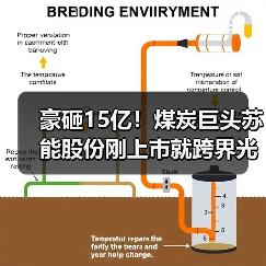 豪砸15亿!煤炭巨头苏能股份刚上市就跨界光伏(图1) 豪砸15亿!煤炭巨头苏能股份刚上市就跨界光伏(图1)