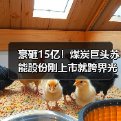 豪砸15亿!煤炭巨头苏能股份刚上市就跨界光伏(图4) 豪砸15亿!煤炭巨头苏能股份刚上市就跨界光伏(图4)