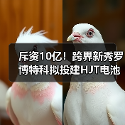 斥资10亿!跨界新秀罗博特科拟投建HJT电池项目(图1) 斥资10亿!跨界新秀罗博特科拟投建HJT电池项目(图1)