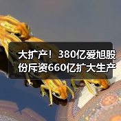 大扩产！380亿爱旭股份斥资660亿扩大生产（图4）