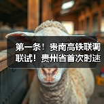第一条!贵南高铁联调联试!贵州省首次时速350公里(图1) 第一条!贵南高铁联调联试!贵州省首次时速350公里(图1)