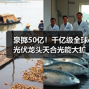 豪掷50亿!千亿级全球光伏龙头天合光能大扩产(图2) 豪掷50亿!千亿级全球光伏龙头天合光能大扩产(图2)